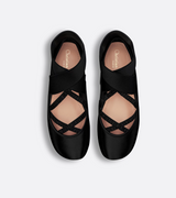 Dior Shade Ballet Flat