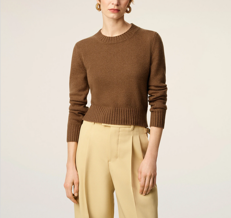 BROWN CASHMERE AMI DE COEUR CREWNECK SWEATER