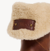 Azelan ankle boot